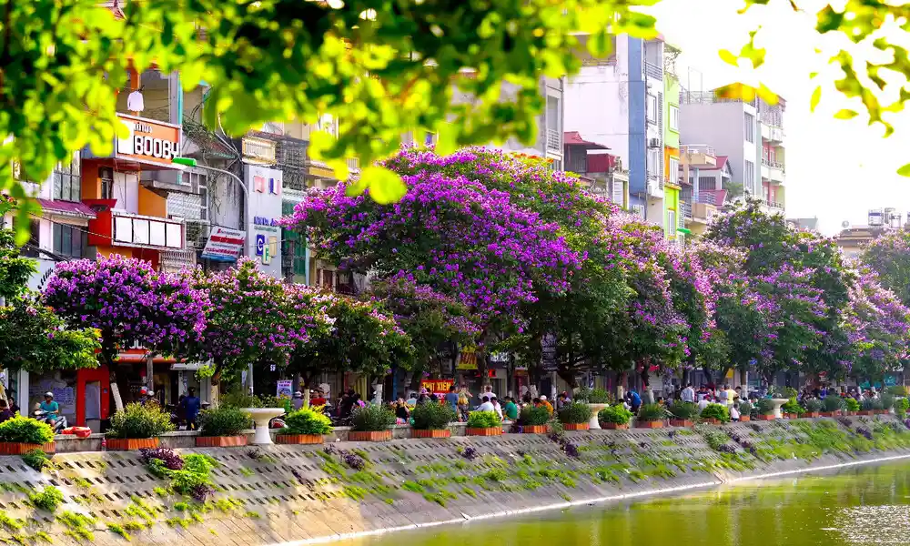 Hanoi En Verano