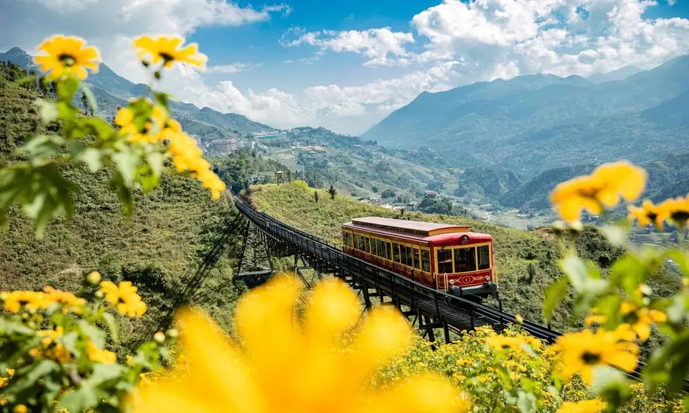 Tren En Muong Hoa