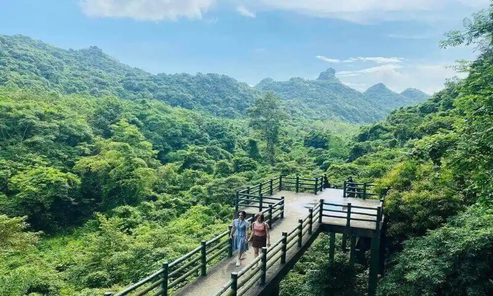 Cueva Trung Trang