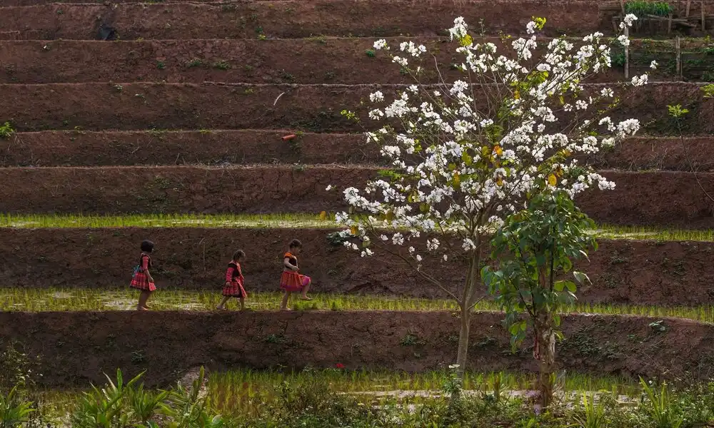 Mai Chau En Temporada Seca