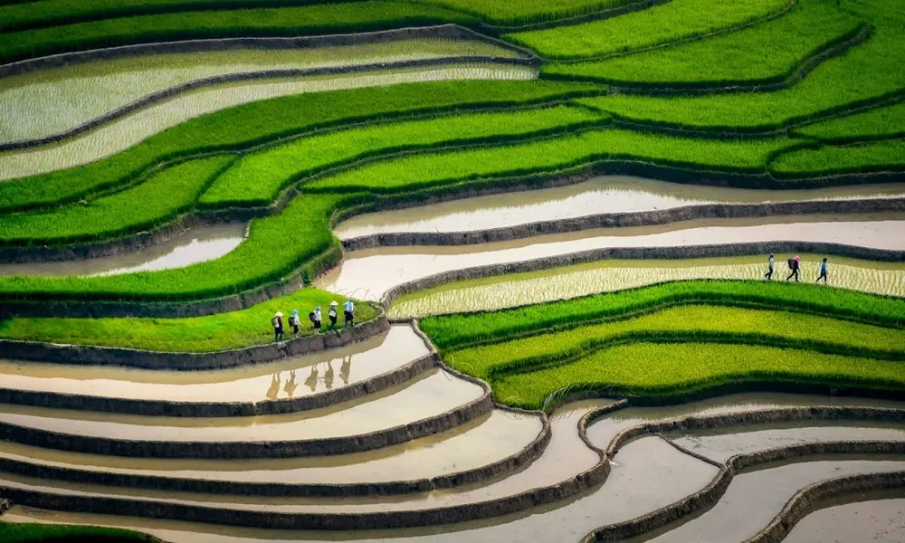 Mu Cang Chai En Primavera