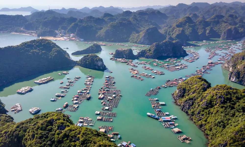 Pueblos Pesqueros En Halong