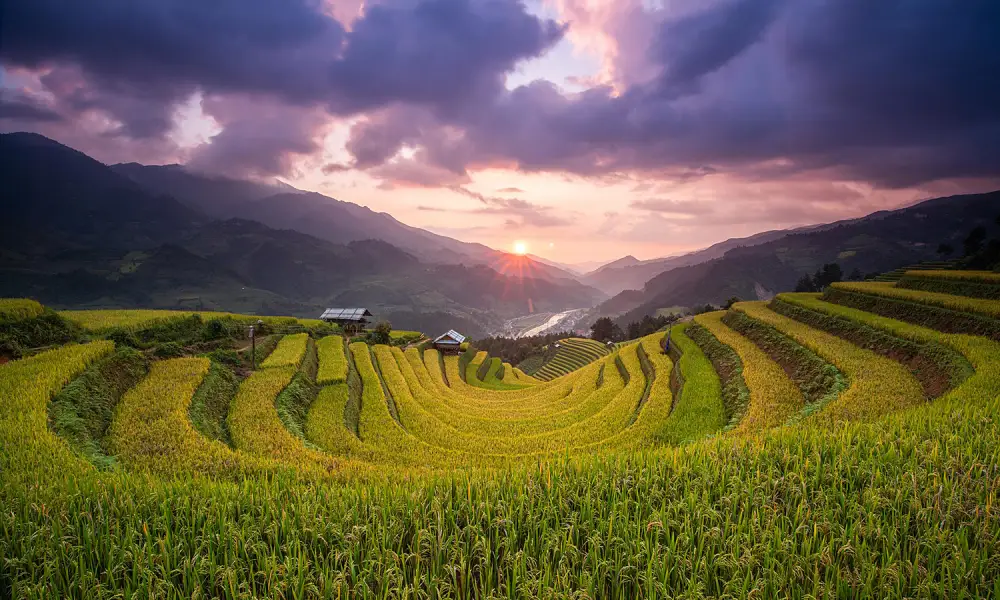 Terrazas Arrozales En Mu Cang Chai