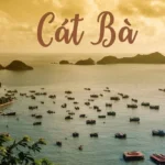 Vietnam   Isla De Cat Ba