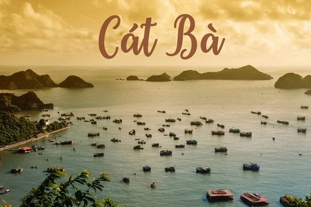 Vietnam   Isla De Cat Ba